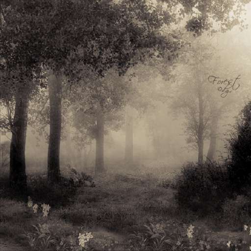 Foto/1783492fad5e241bf803fe2d8e9253bf