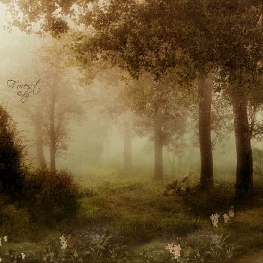 Foto/1939152ca45c35c26220a169f85e01a5