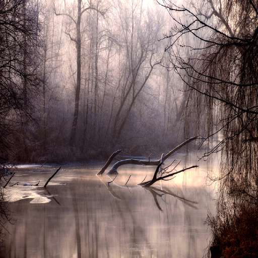 Foto/3255936988 dd68428d30 o