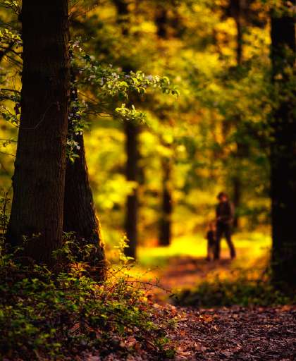 Foto/3496855330 31a30d281f o